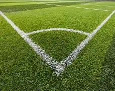 范尼与蓝狐,名将矛盾升,球员被排除,球探足球比分,球探比分官网,球探体育,球探网页版,球探app下载电脑版