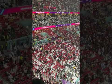 泰利普主场,对决激烈,卡迪沙斯首,球探足球比分,球探比分官网,球探体育,球探网页版,球探app下载电脑版