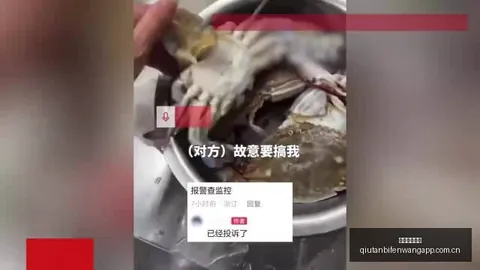 韩旭与李梦恢复状态：复出路漫漫，医生决定复归期